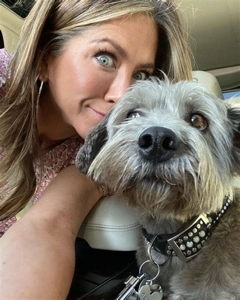 Celebrity Pets .